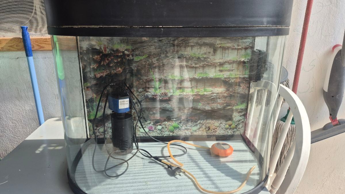 Fish aquarium - Image 1