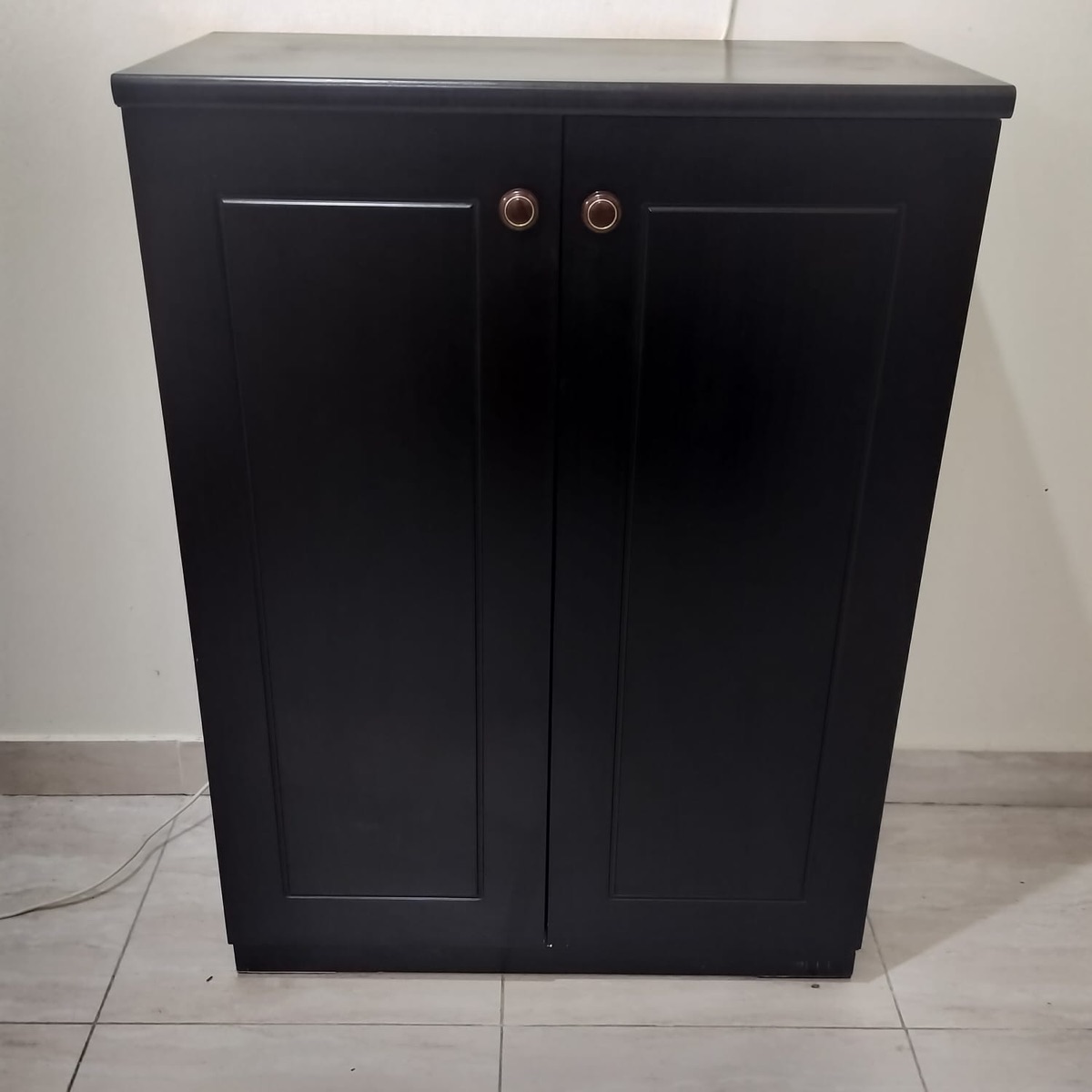 TWO DOOR SMALL CUPBOARD - Image 2