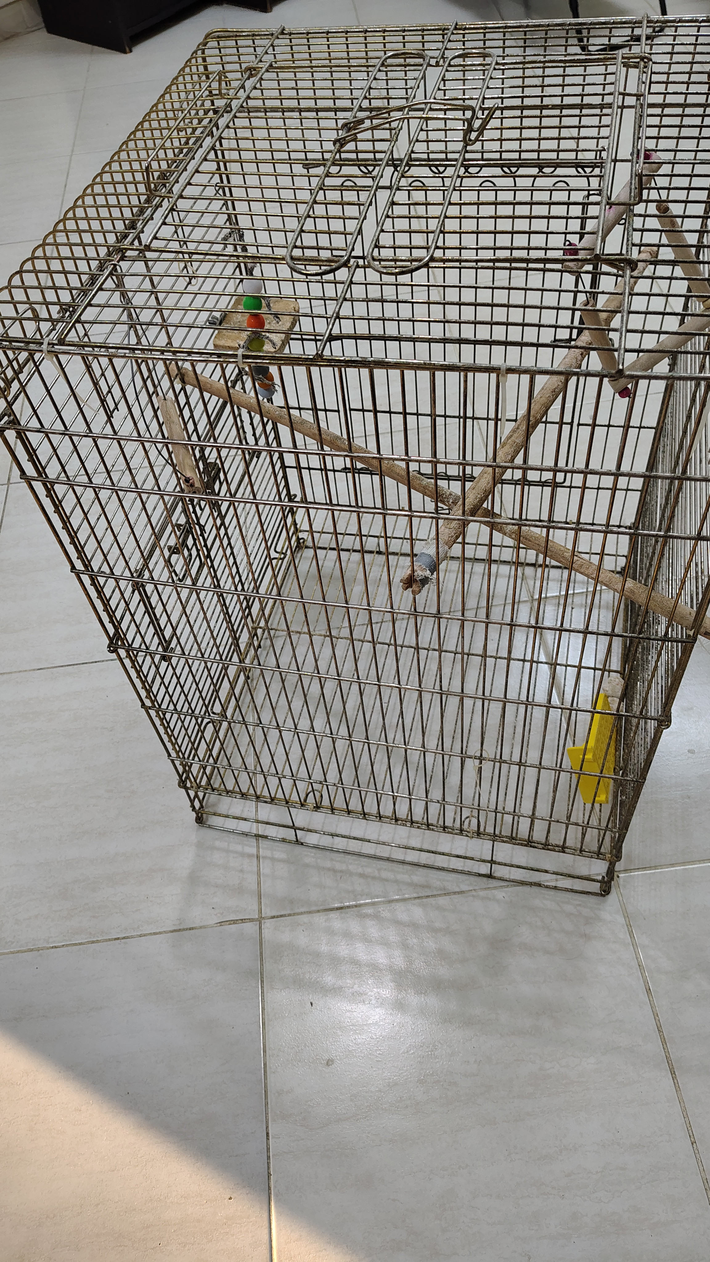 Golden Clean bird cage for sale - Image 3