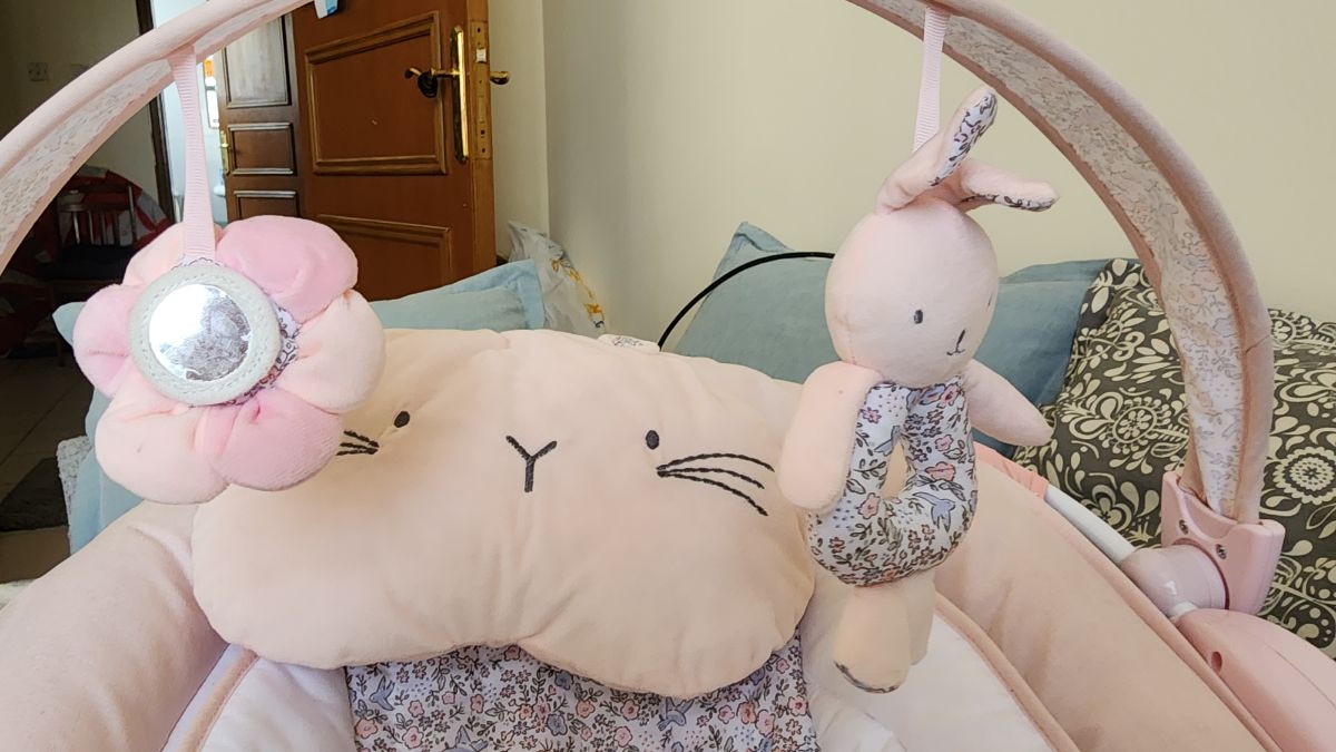 Pink Floral Baby Bouncer Mother Care - Image 4