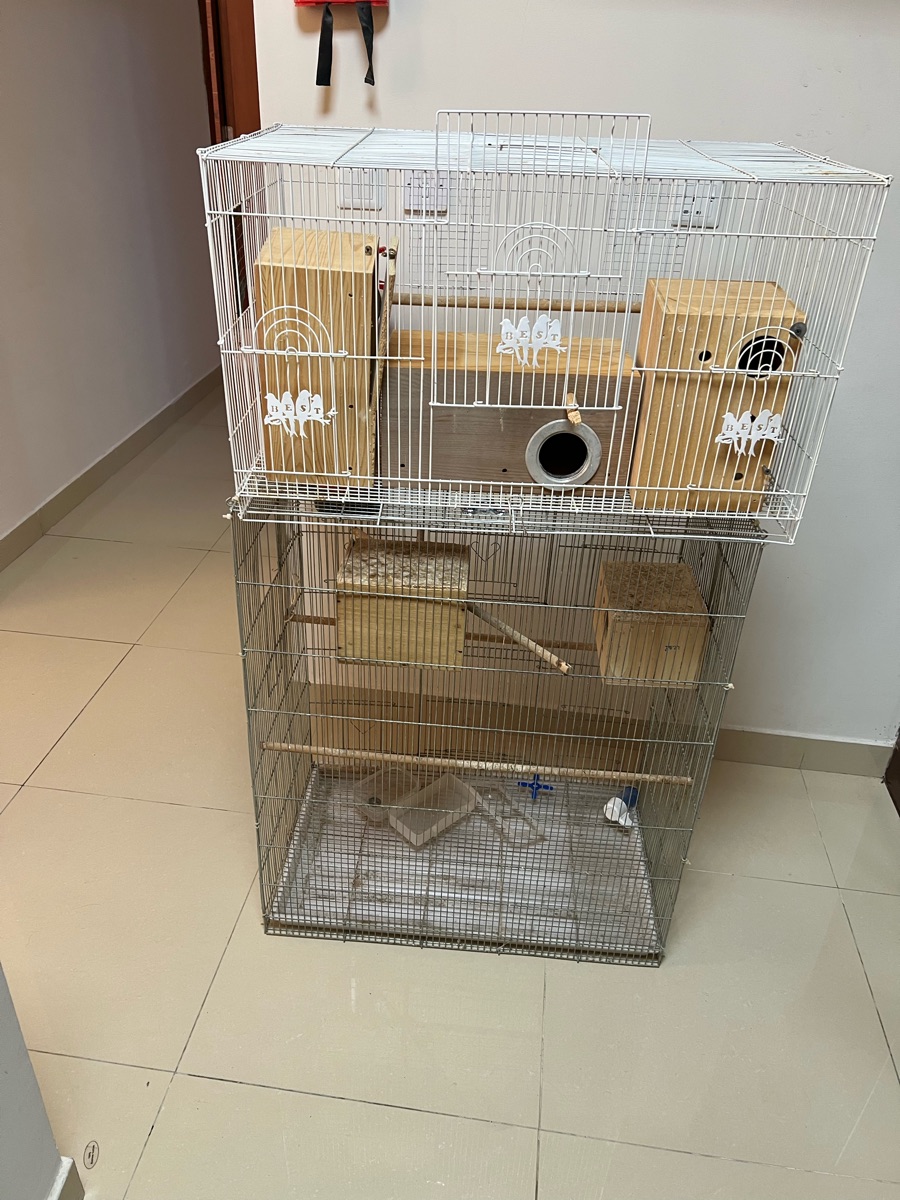 Cage free small cage and nest box - Image 4