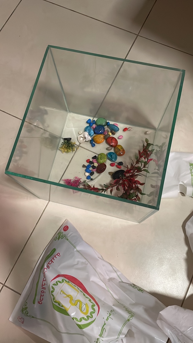 fish with fish tank Bicycles and Airtel receiver single steel bed - Image 14