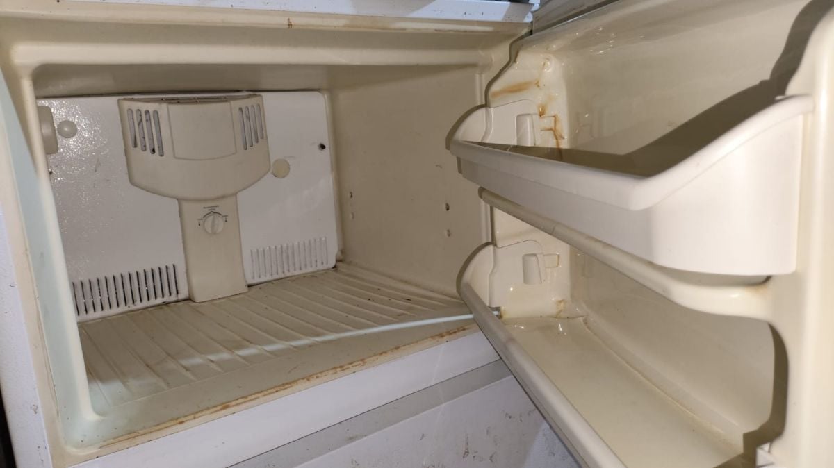 460 L Refrigerator for FREE - Image 3