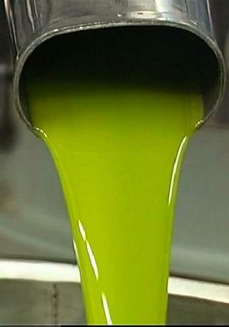 زيت زيتون فلسطيني بكر - عصرة اولى    Palestinian Olive Oil Extra Virgin First Pressing - Image 4
