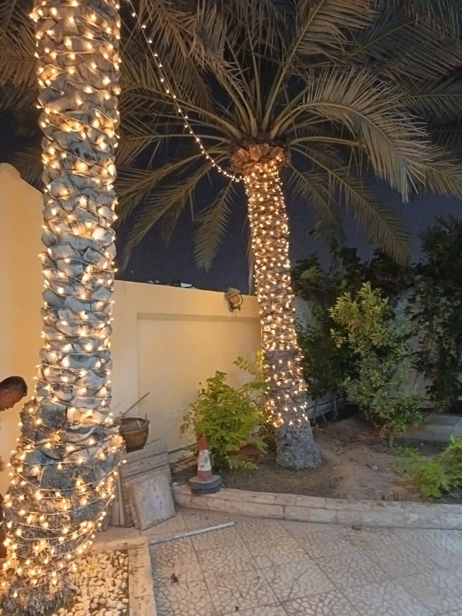 QATAR EVENT LIGHTING - Image 3