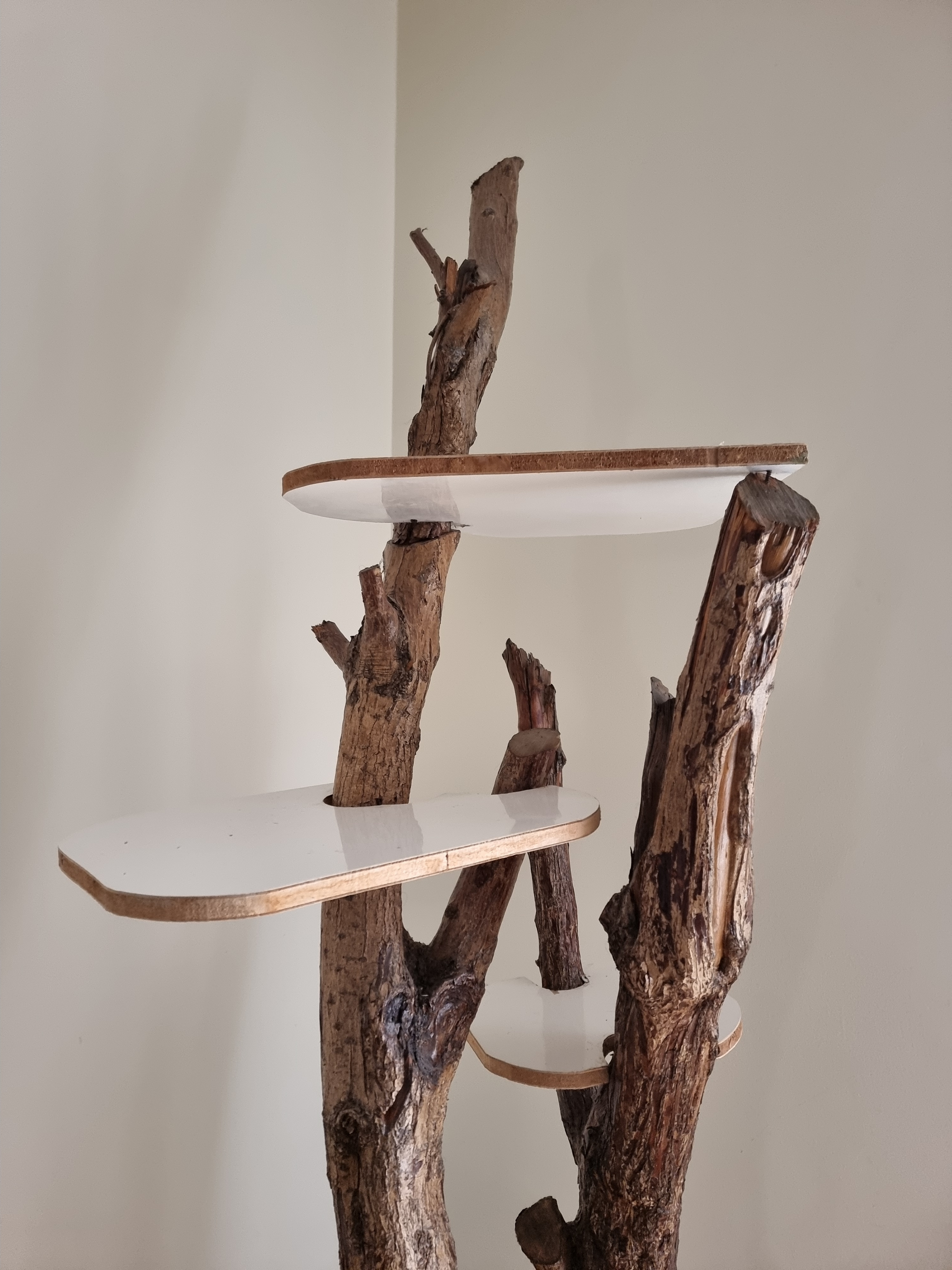 Cat tree made of real tree branches.  - Image 2