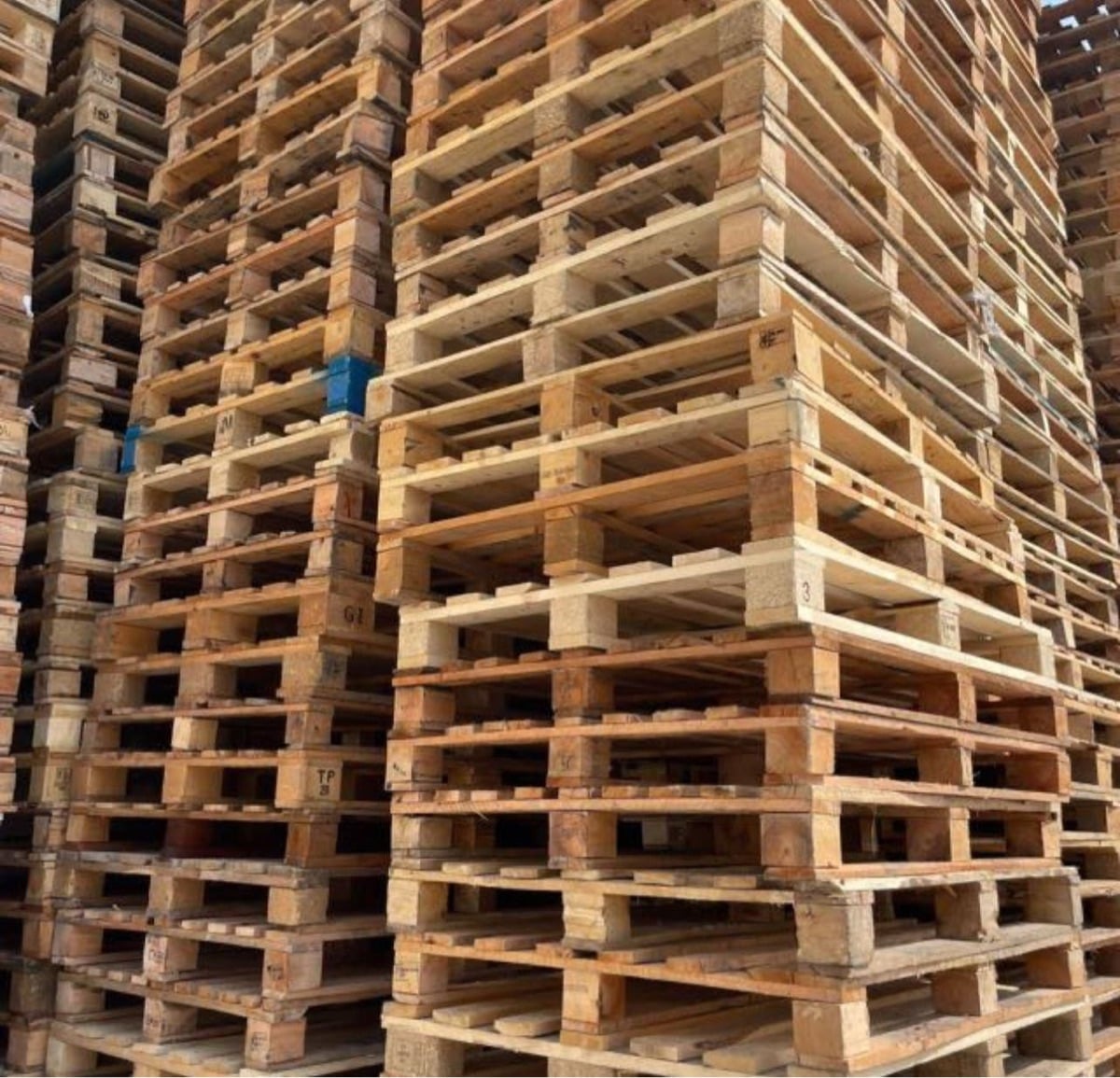 Used Plastic pallets - Image 7