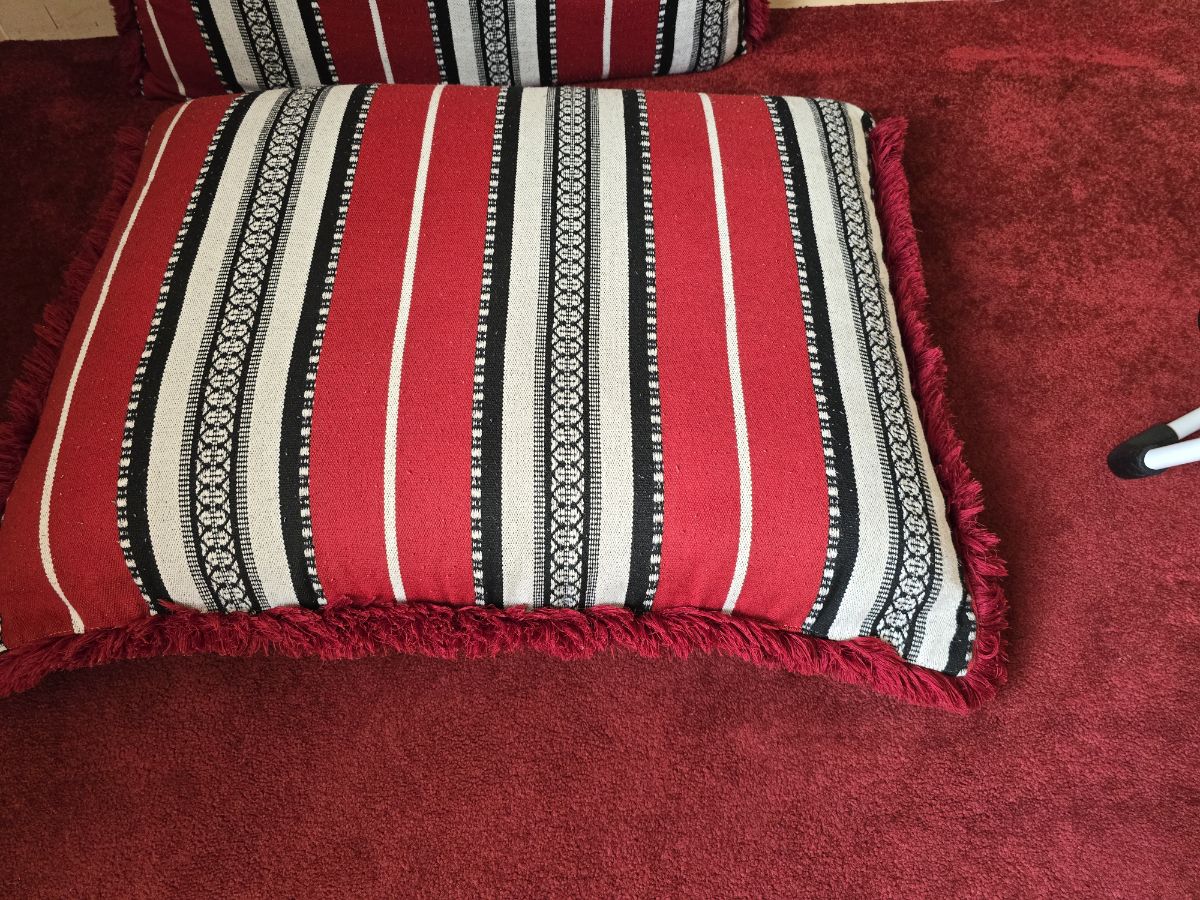 2 seater sofa, cloth stand, 5majlis pillows,laundry storage iron stand and iron - Image 6