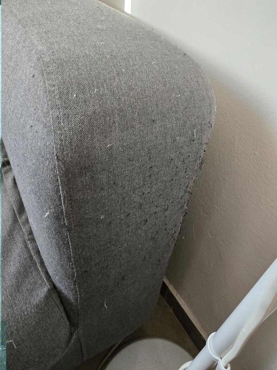 IKEA klippan sofa - Image 2