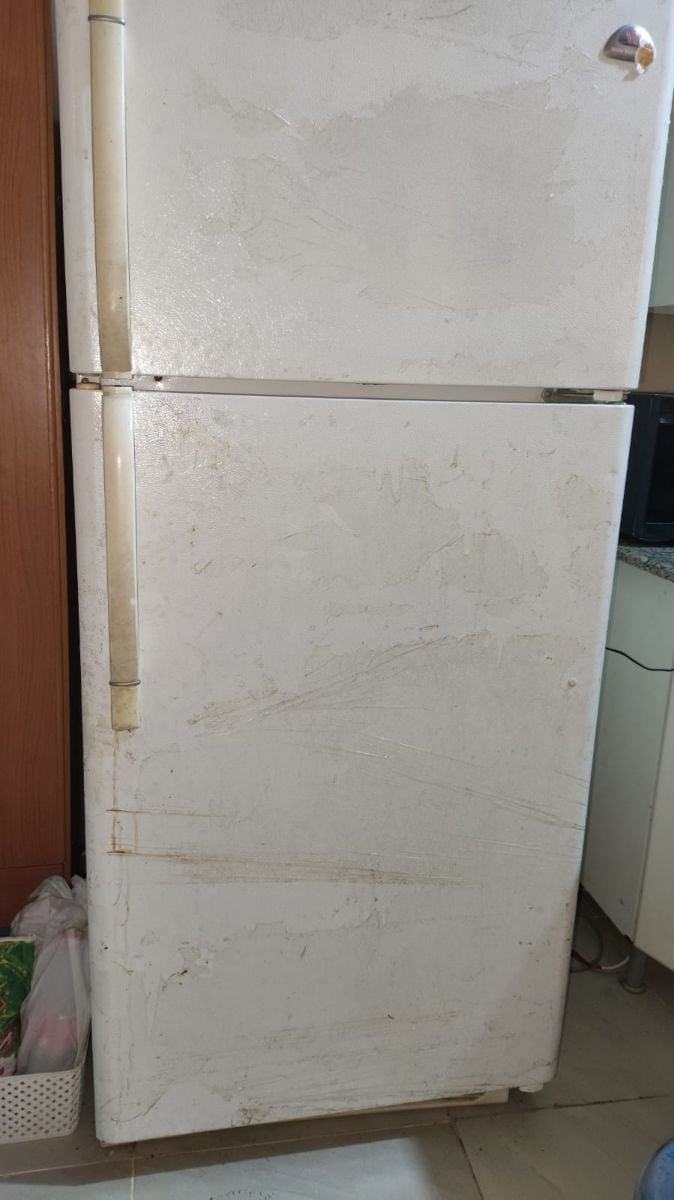 460 L Refrigerator for FREE - Image 1