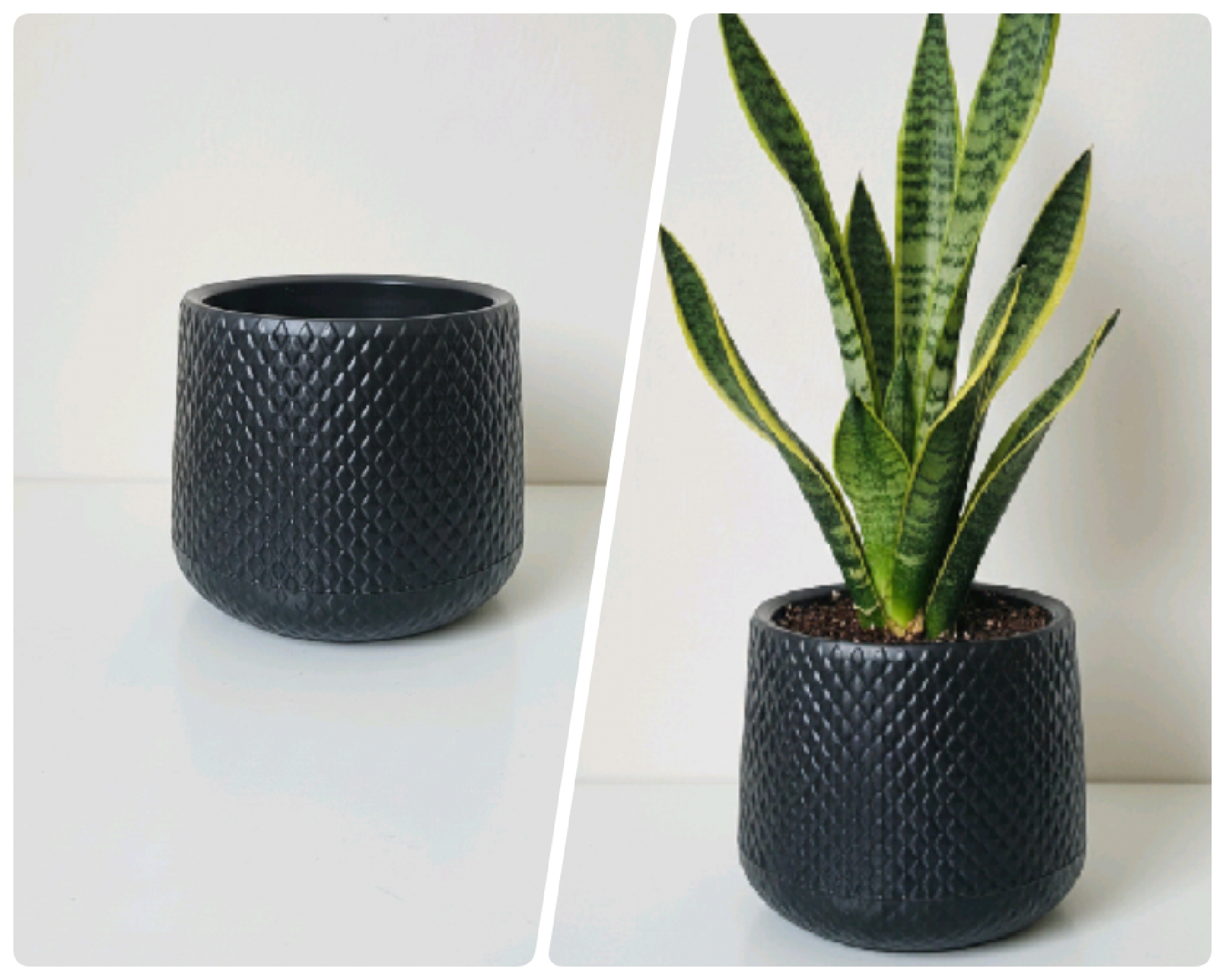 Plant pot beautiful indoor outdoor pots - Image 5