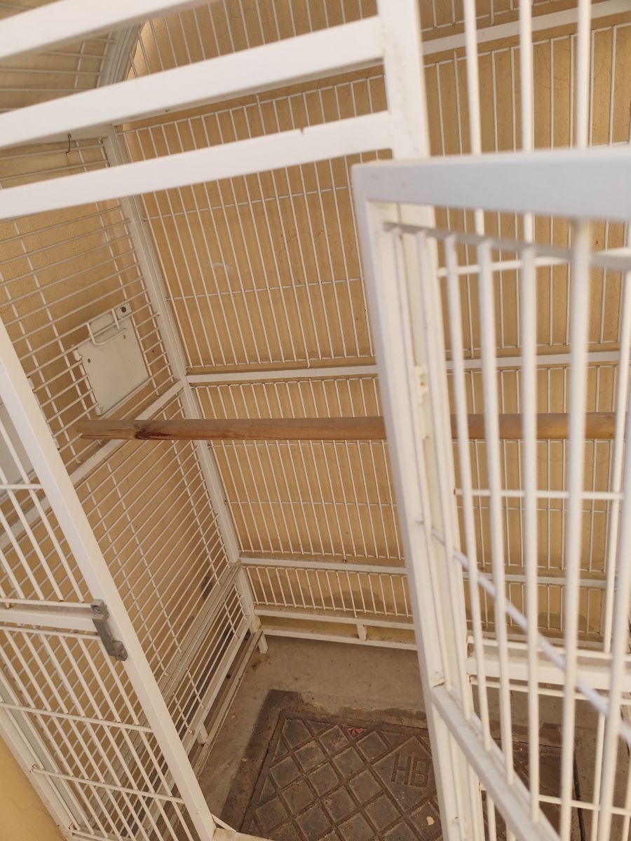 Big Birds cage - Image 6