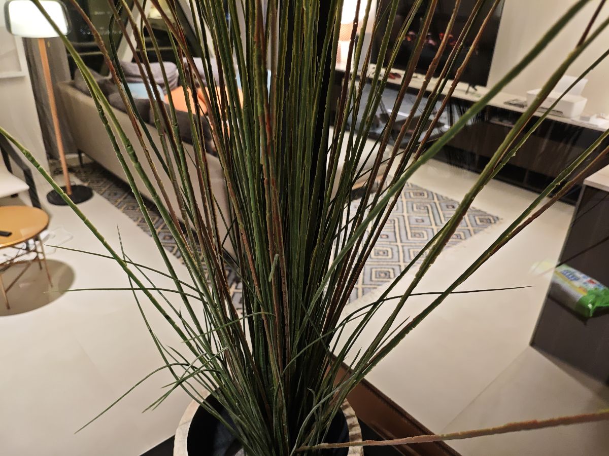 Artificial plant IKEA - Image 2