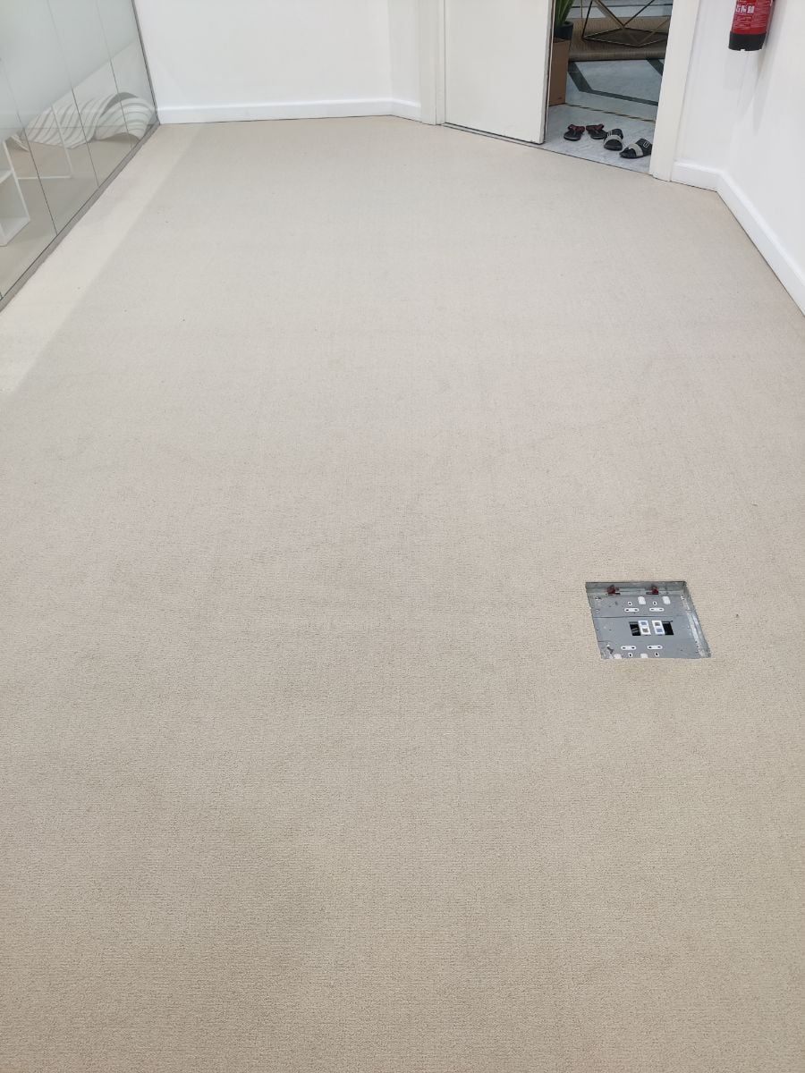 Thin Carpet Solid Color - Image 3