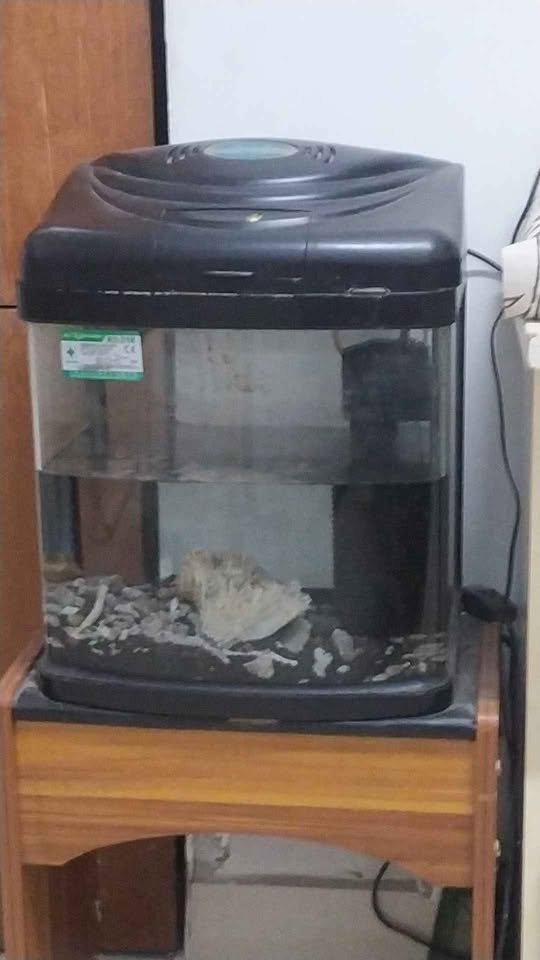 Aquarium - Image 1