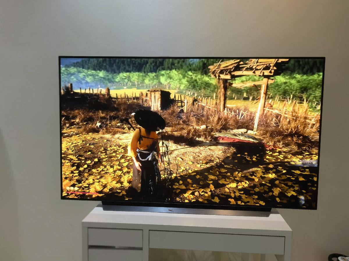 LG OLED 65" C1 4K 120HZ GSYNC TV - Image 8