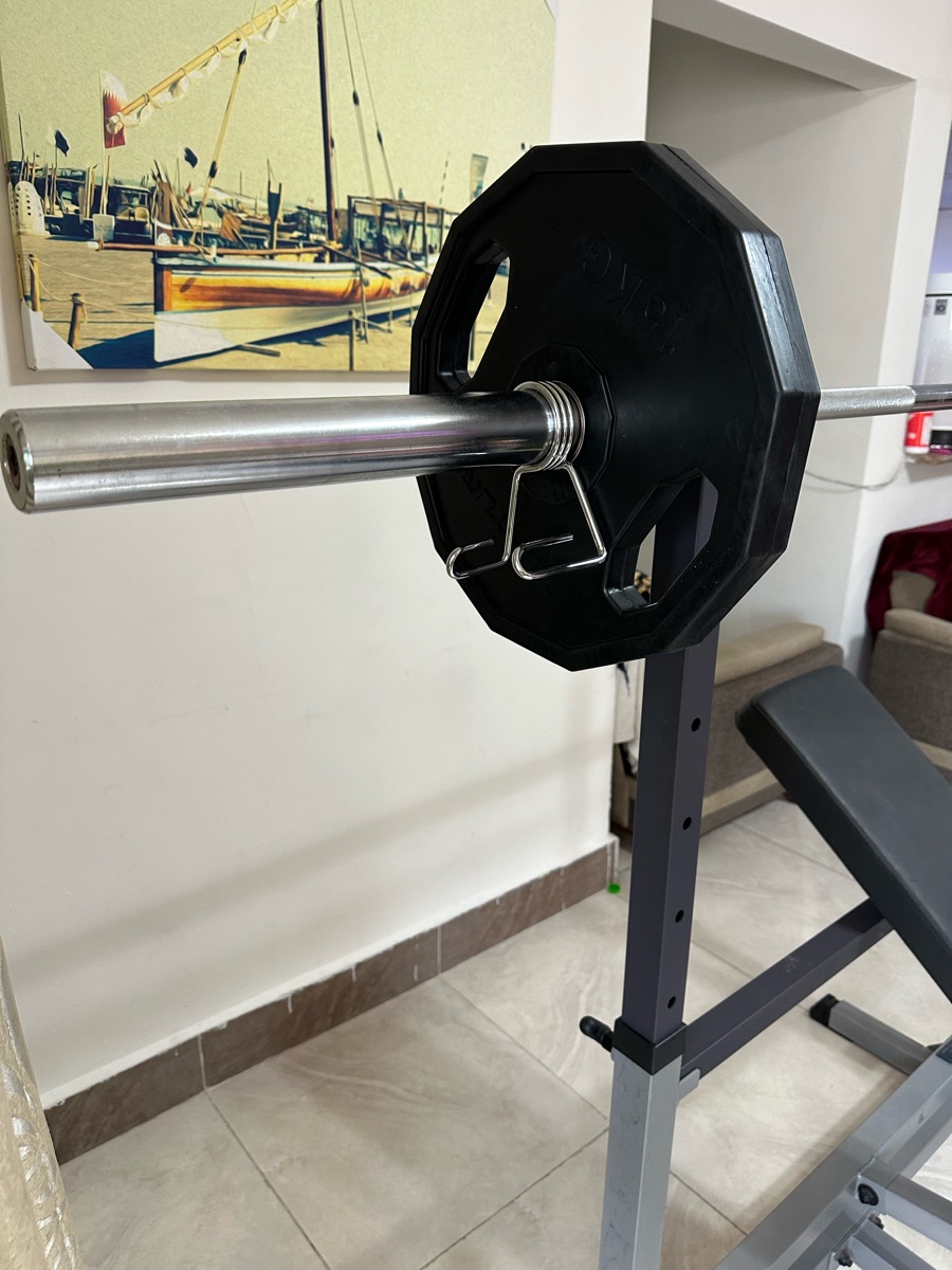 Standard Bench Home Gym with Bench Press and Leg Lifts - Image 2
