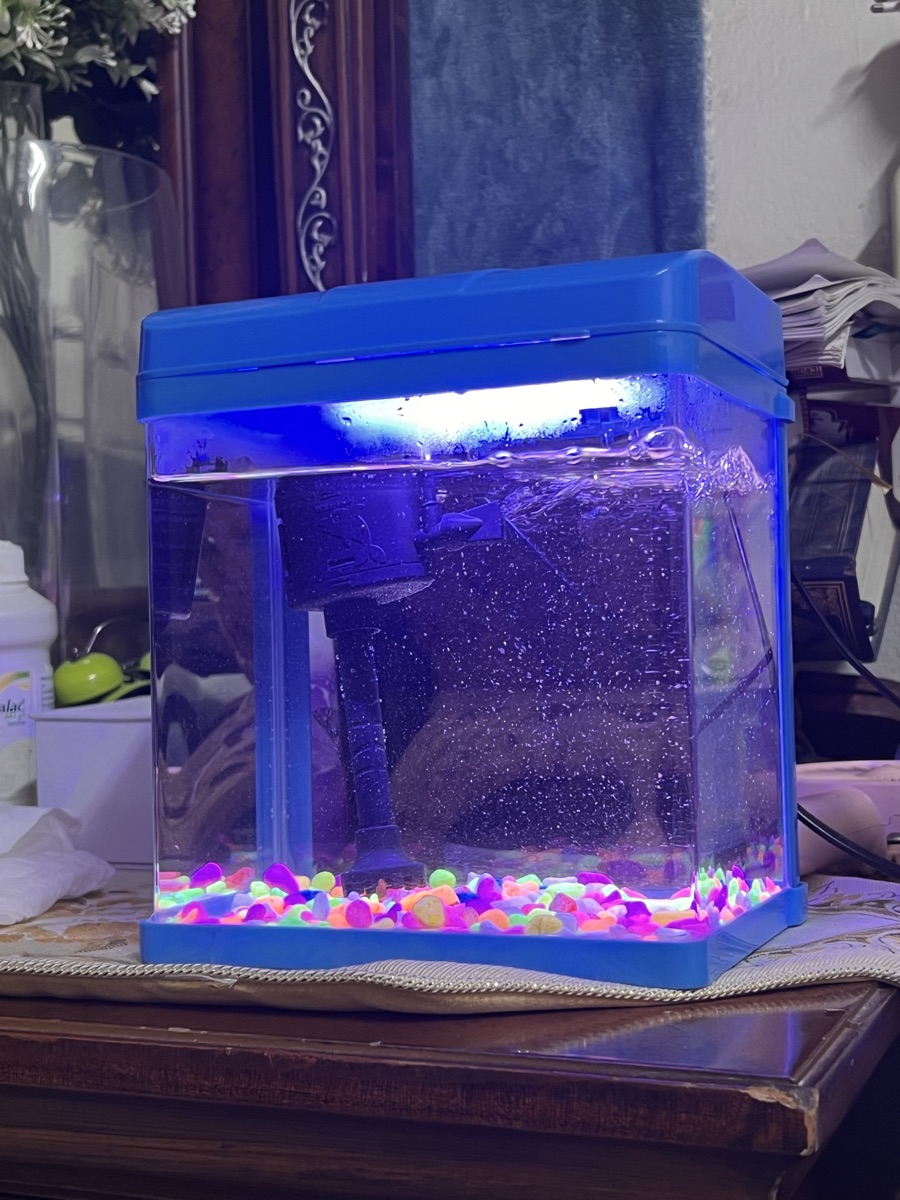 Mini fish tank - Image 8