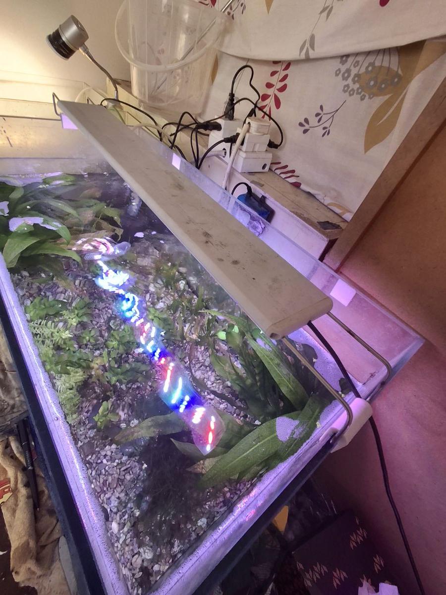 Fish tank aquarium - Image 4