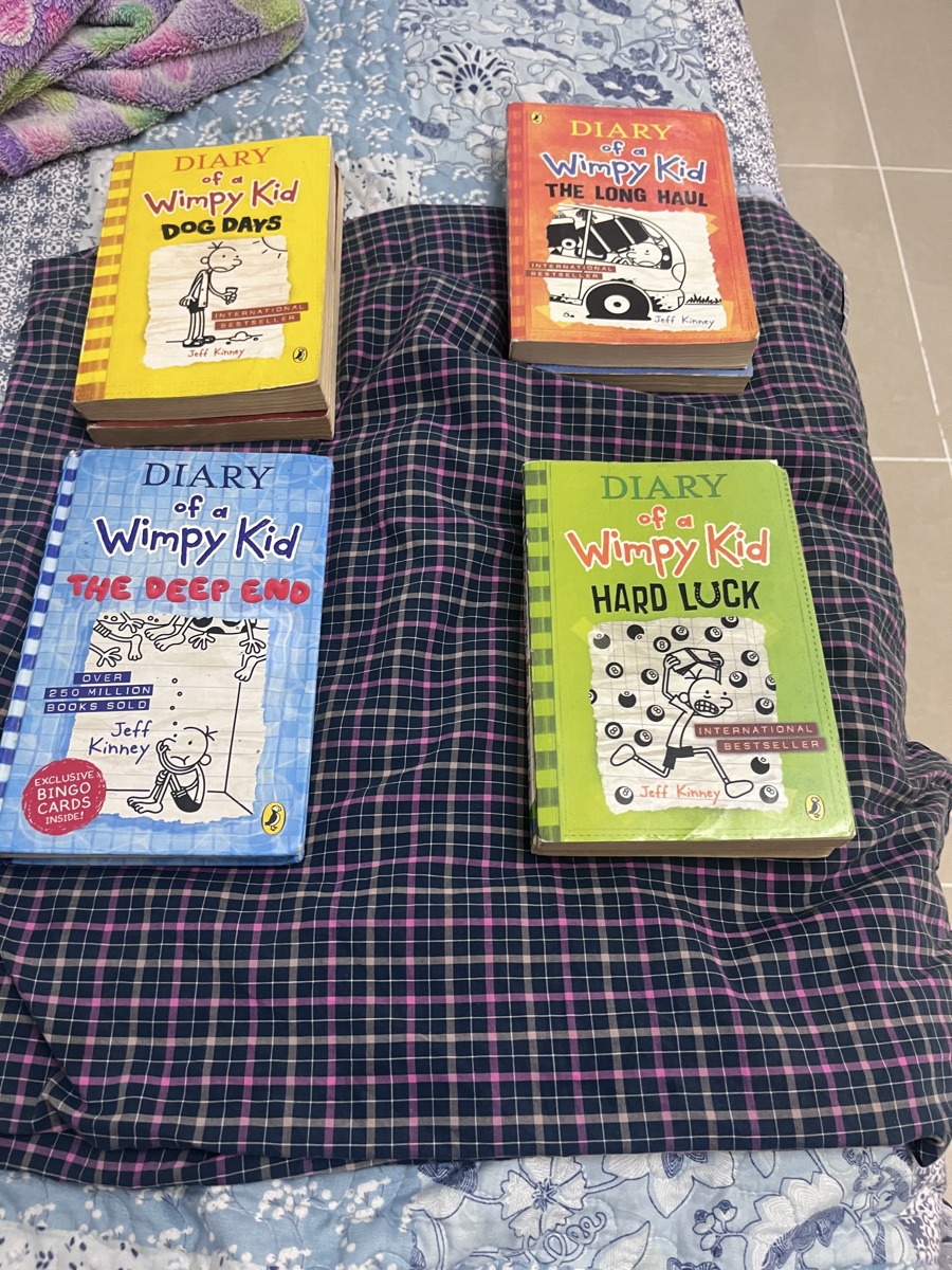 Diary of a Wimpy Kid books - Image 1