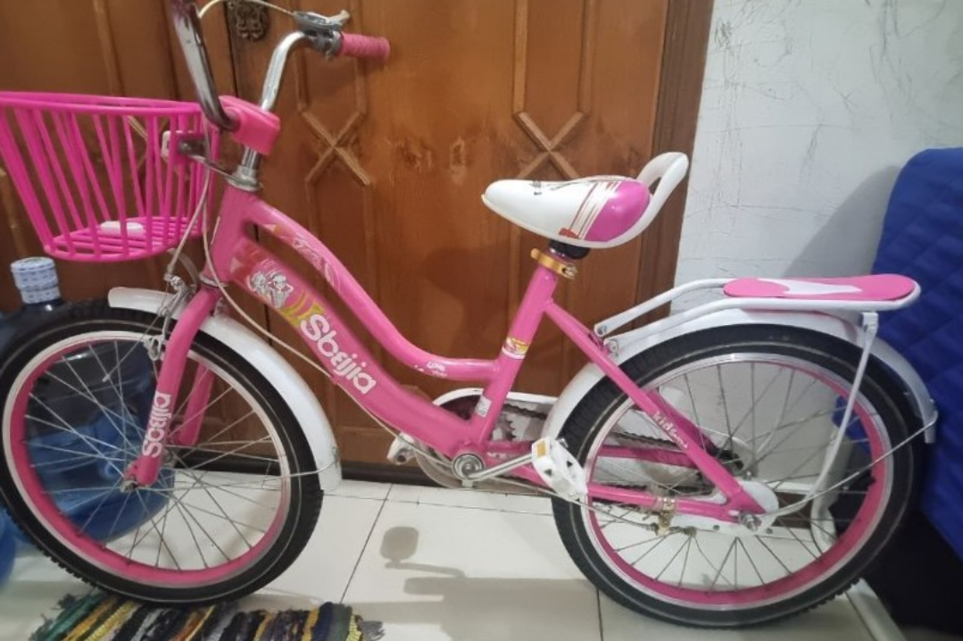 Girl's Cycle - Image 1