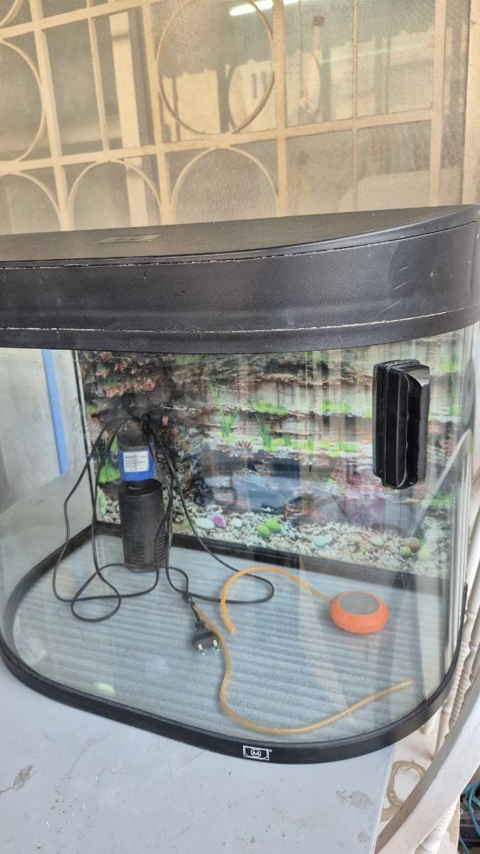 Fish aquarium - Image 3