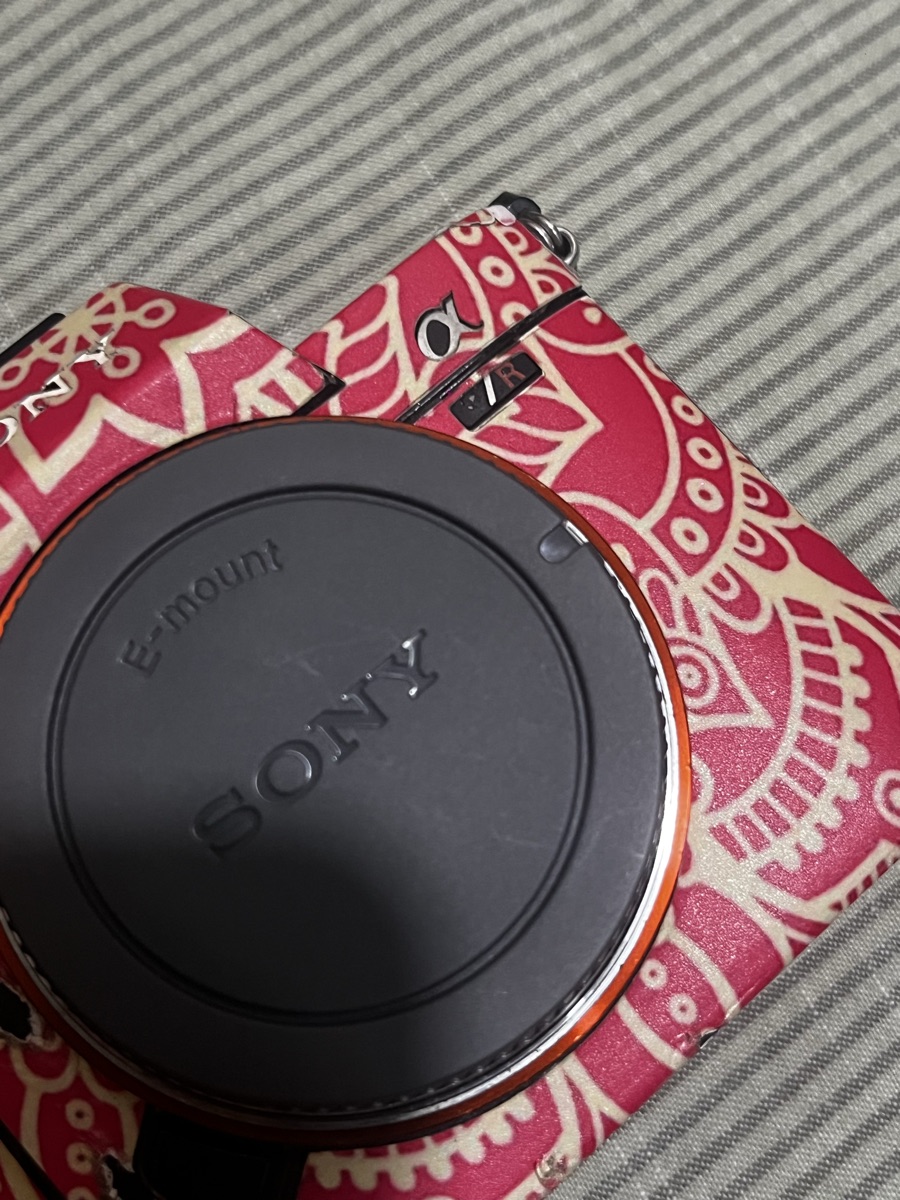 Sony Alpha 7R3 - Image 2