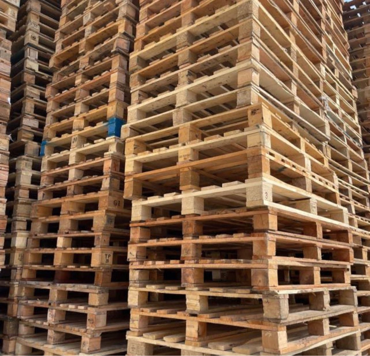 Used Pallet - Image 4
