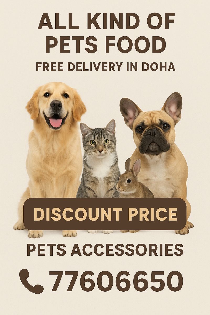 All kind of pets food and accessories with budget friendly - Image 1