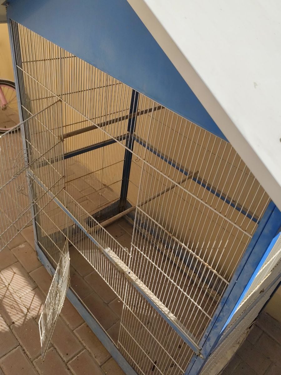 Big Birds cage - Image 2