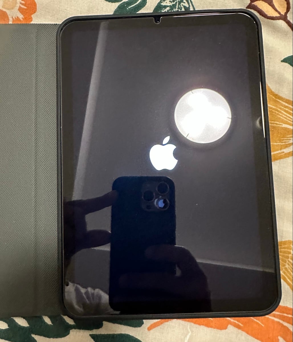 iPad Mini 6 – 256 GB (Excellent Condition) - Image 6