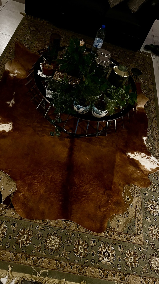 Natural luxury fine cowhide skin for sale - Image 3