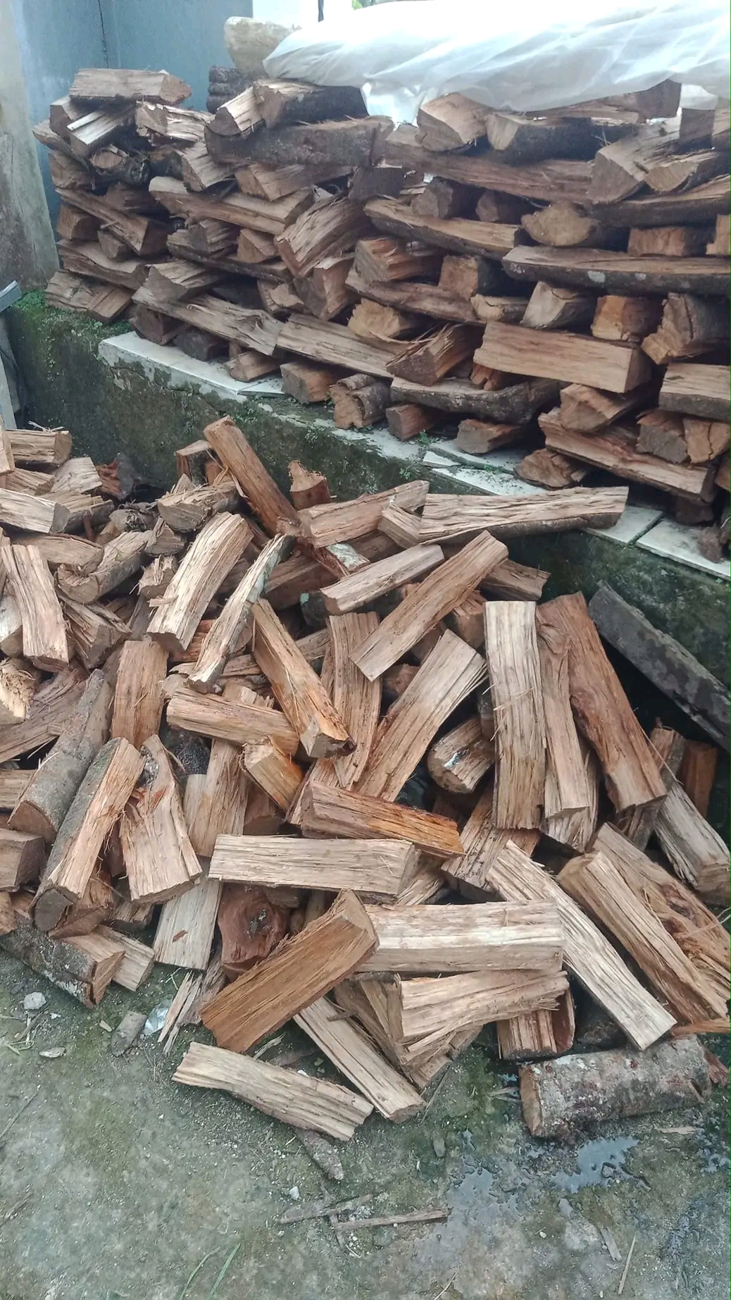 Wood camfire  - Image 3