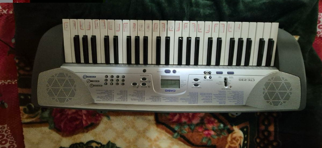 Casio CTK 230 - Image 1