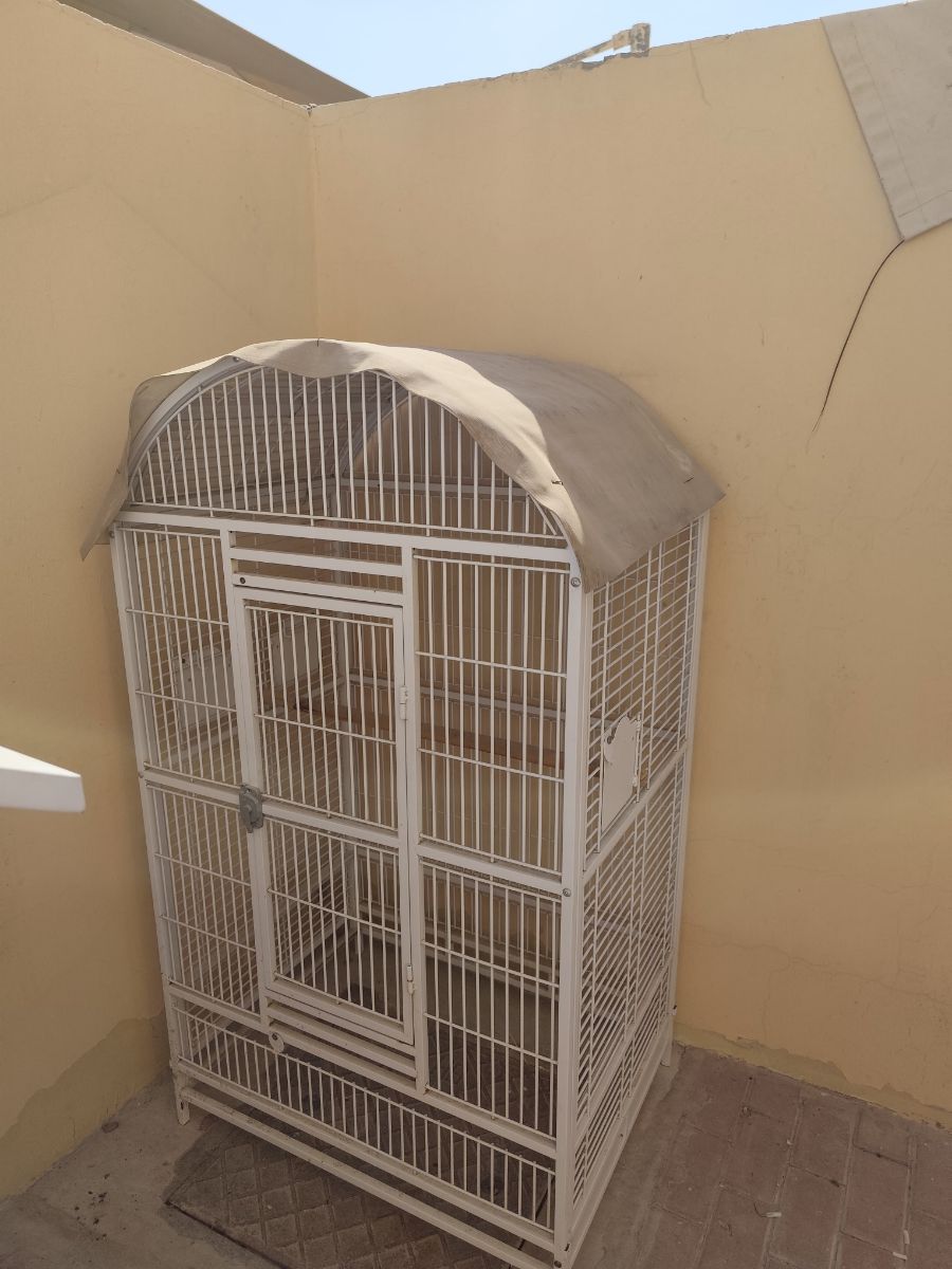 Big Birds cage - Image 3