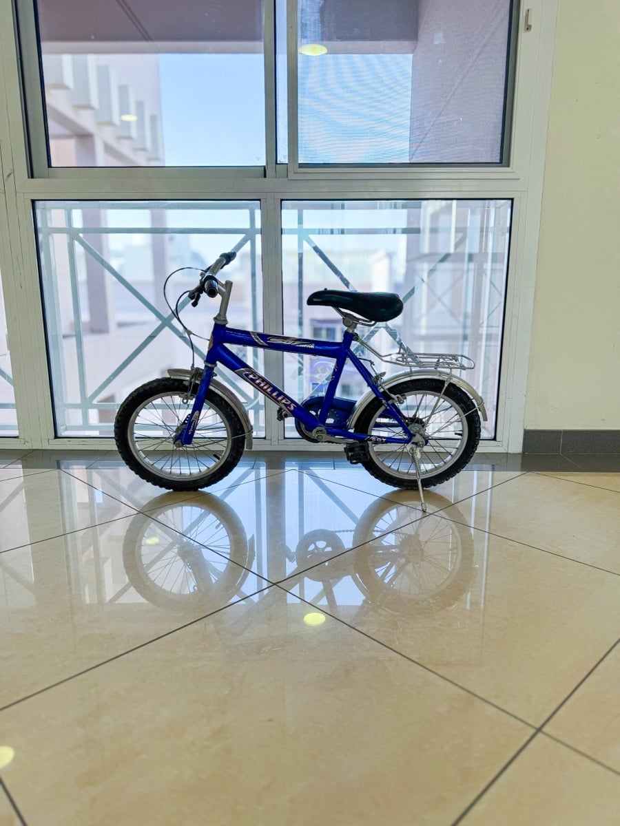 14 Philips Bicycle - Image 3