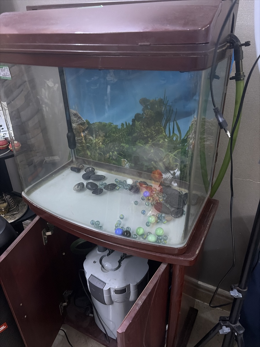 Aquarium with tank Water Pump and purifier  for Sale - Image 2