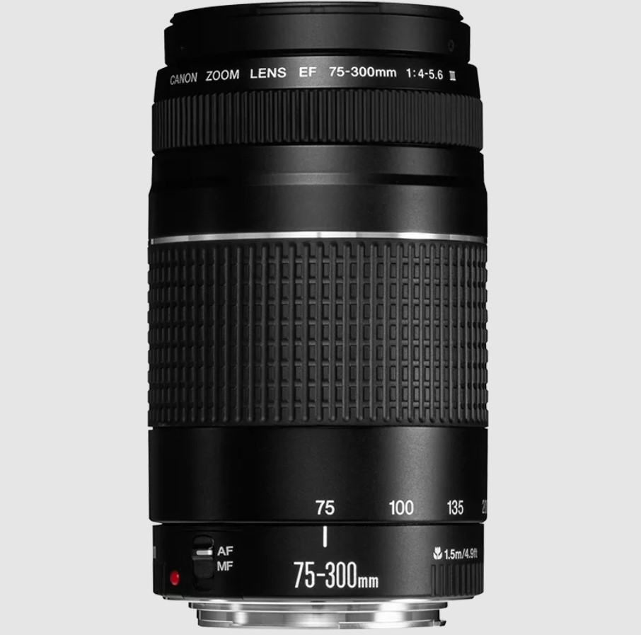EF 75-300mm f/4-5.6 III zoom lens - Image 3