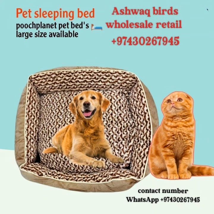 Dog cat beds - Image 1