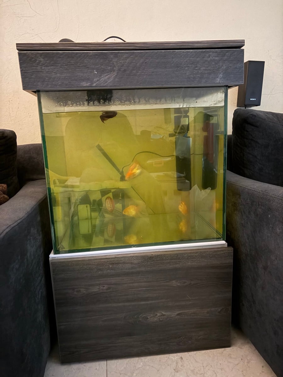 Fish Tank - Image 2