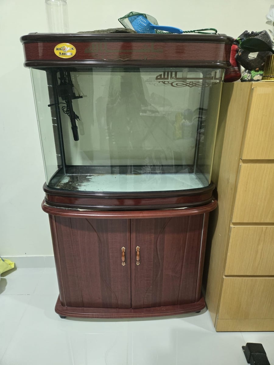Fish Tank and Canister Filter - Image 3