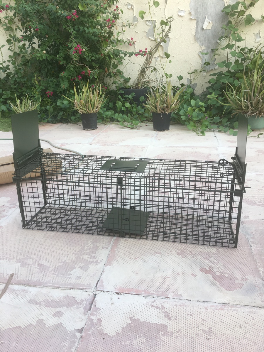 Cat Trap Cage - Image 2