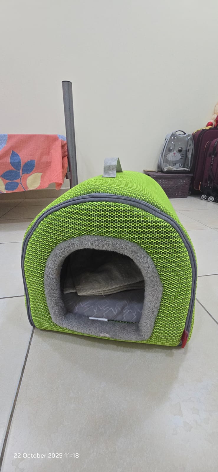 Cat House - Image 1