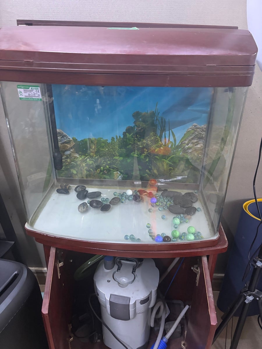 Aquarium with tank Water Pump and purifier  for Sale - Image 3