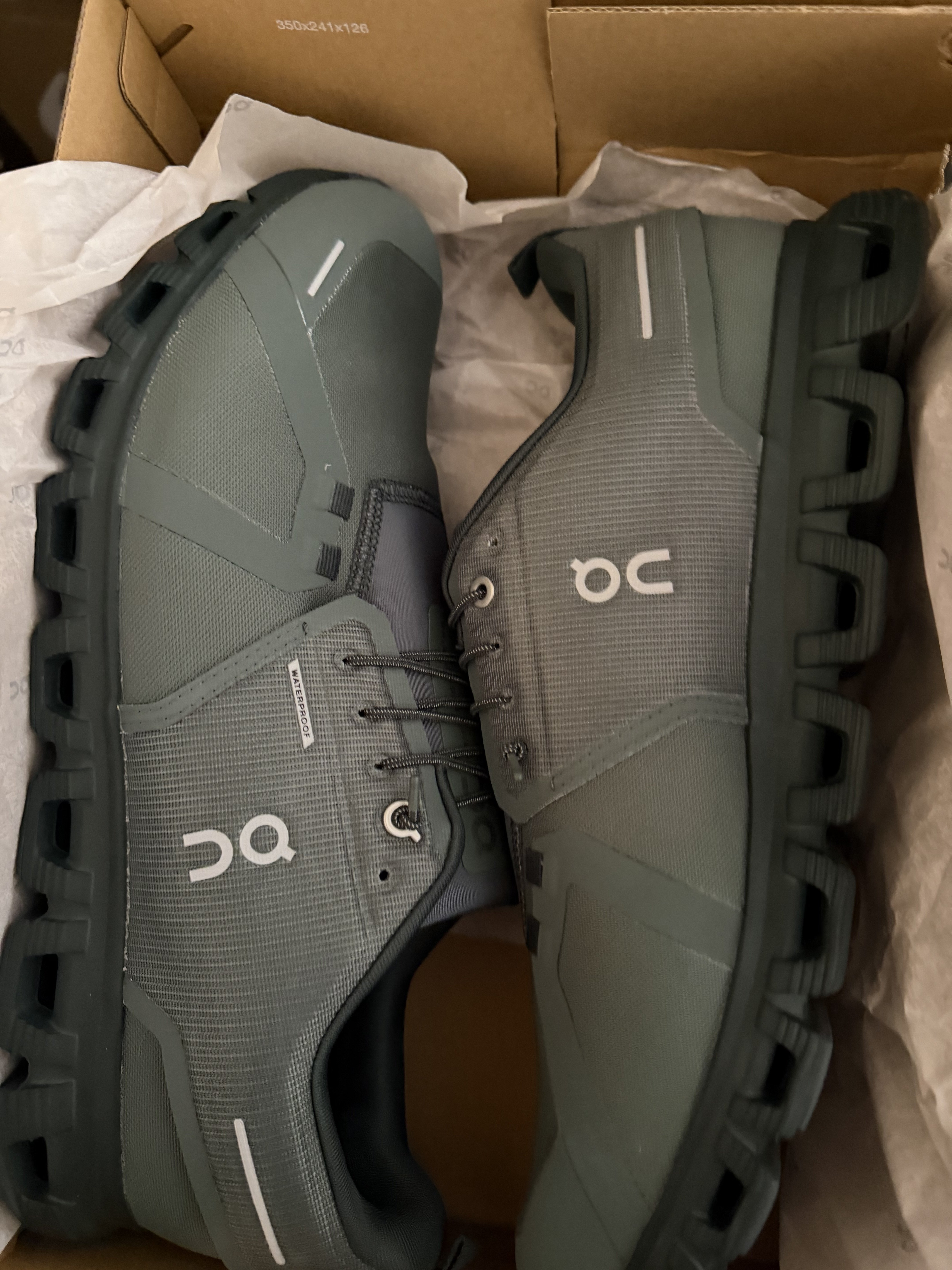 On sport shoes,,brand new,, size 12.5 ,,,47.5  - Image 4