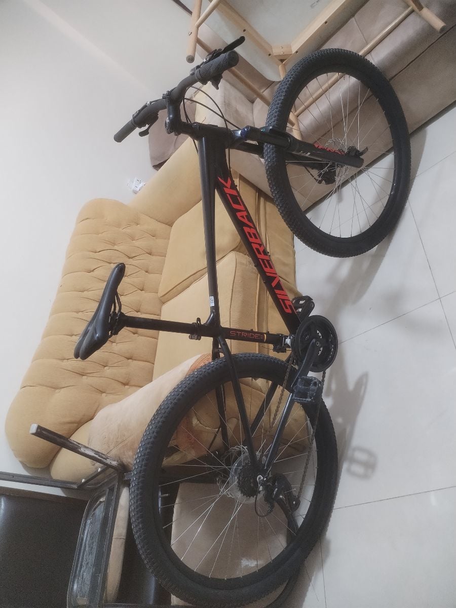 SILVERBACK 29er - Image 2