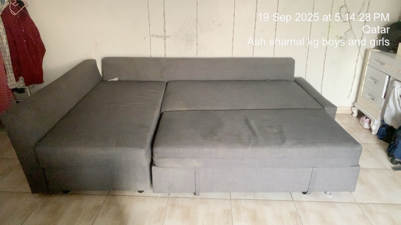 Sofa cum Bed - Image 2