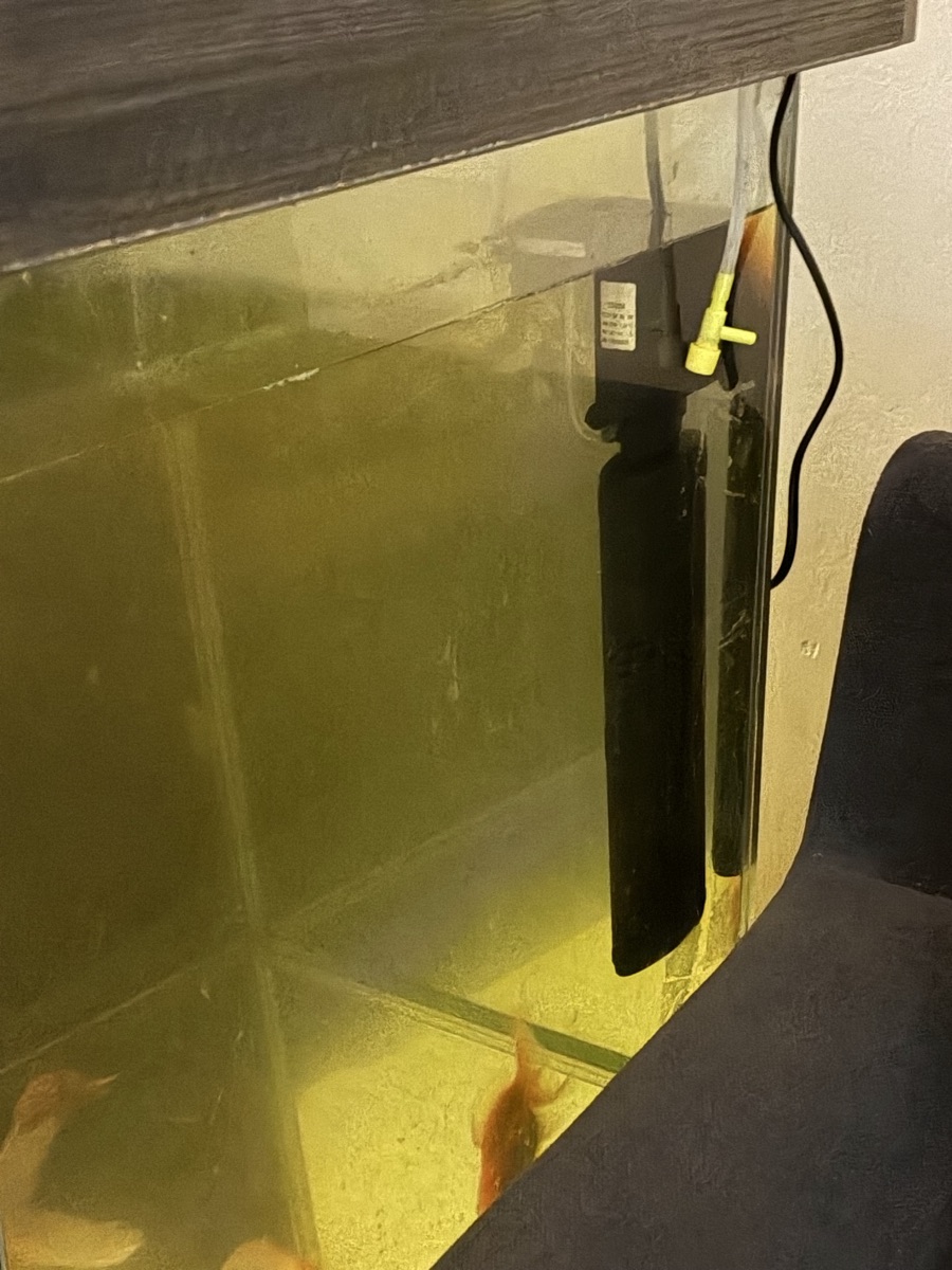 Fish Tank - Image 4