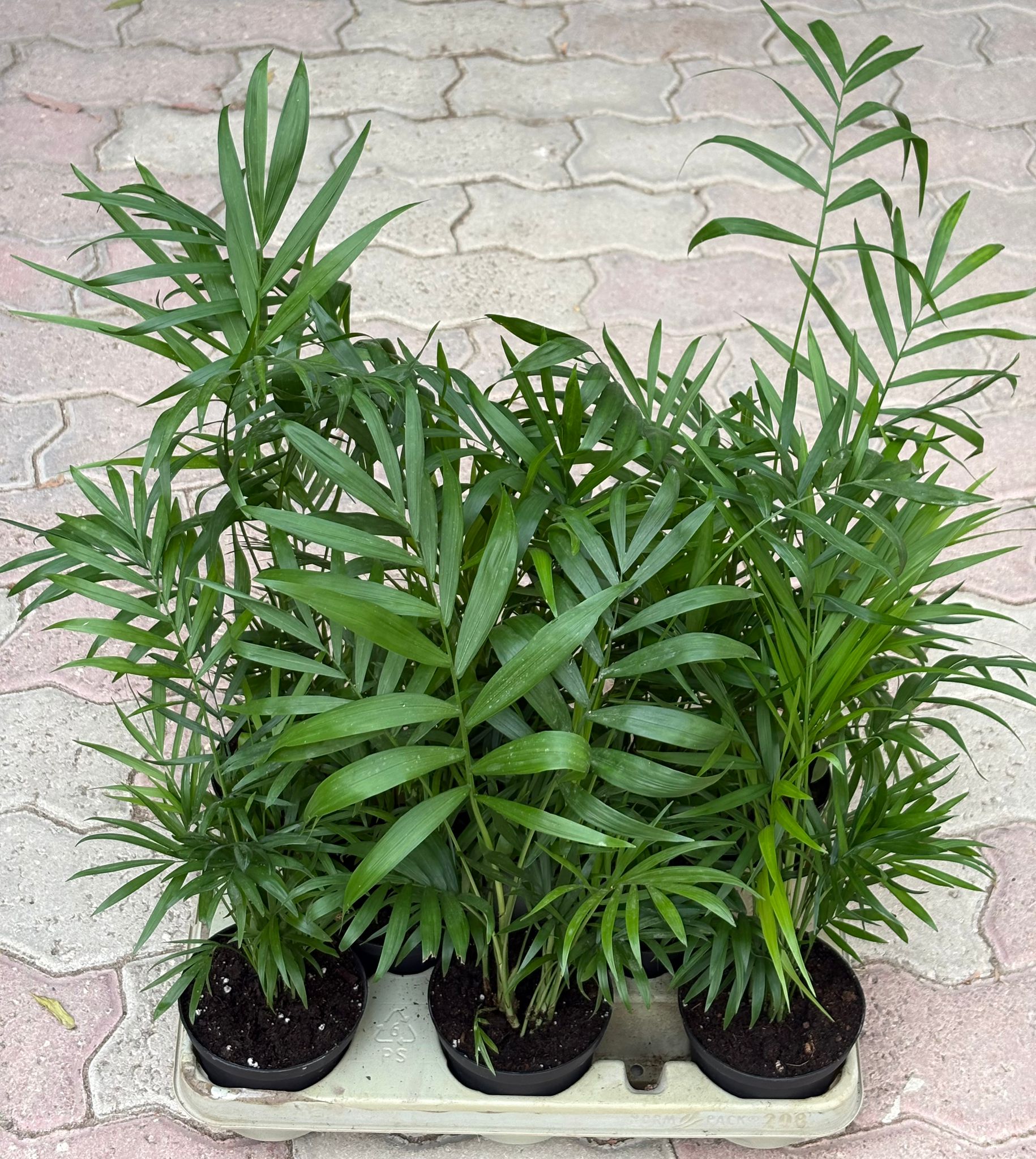  INDOOR AIR PURIFIERS  - Image 24