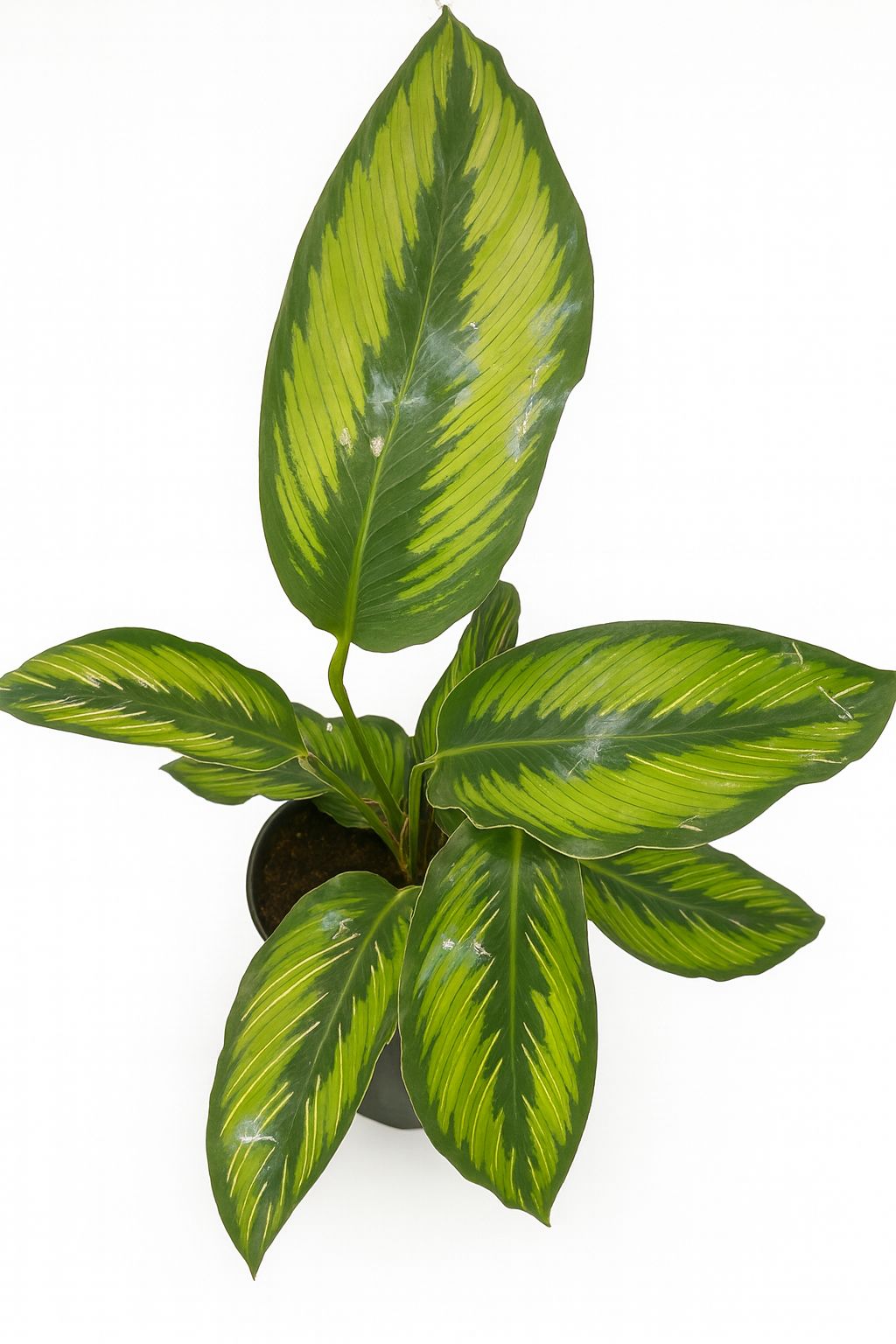  INDOOR AIR PURIFIERS  - Image 17